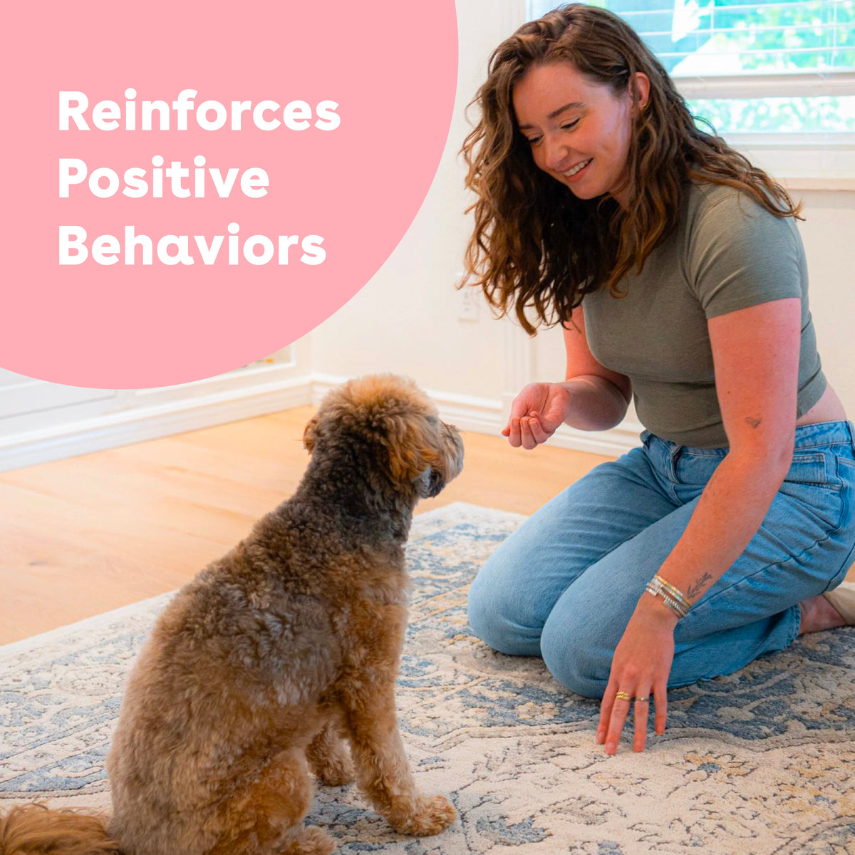 Freeze-Dried Blueberry Dog Training Treats in 2-Ounce Bags, Single and Multipack Sizes for Reward Sessions source image 4