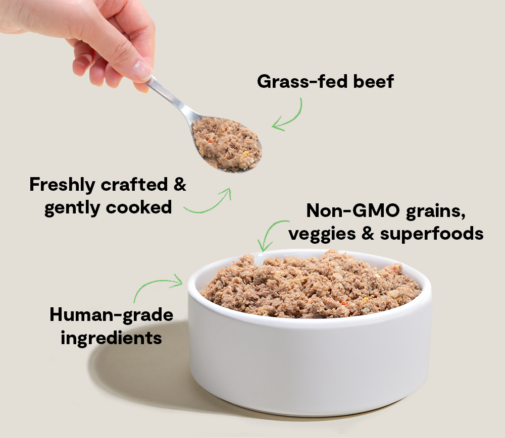 Grass-Fed Beef Fresh Dog Food, Gently Cooked Human-Grade Recipe in Frozen Thaw-and-Serve Pouches source image 4