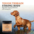 Whole-Food Adult Dog Multivitamin Powder for Daily Joint, Digestion, Immune and Skin Support source image 4