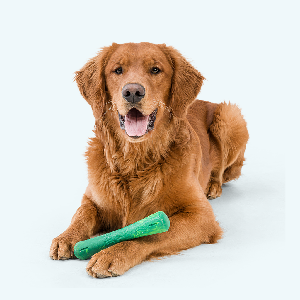Recyclable Bone-Shaped Dog Toy for Moderate Chewers, Dishwasher-Safe Seaflex Design in Two Sizes source image 4