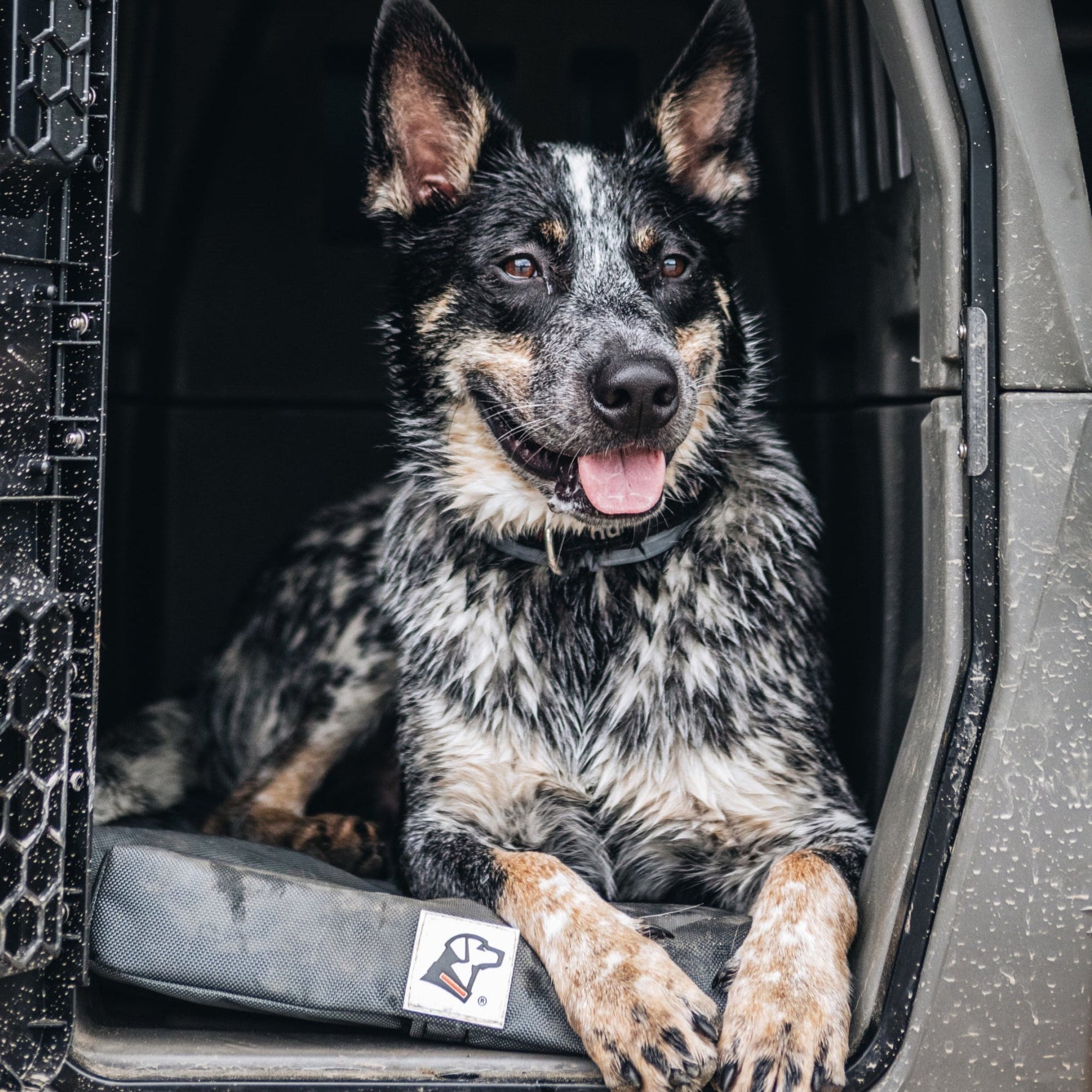 Orthopedic Dog Kennel Pad with 2-Inch Cooling Memory Foam and Ballistic Nylon Cover in Three Sizes product image 4