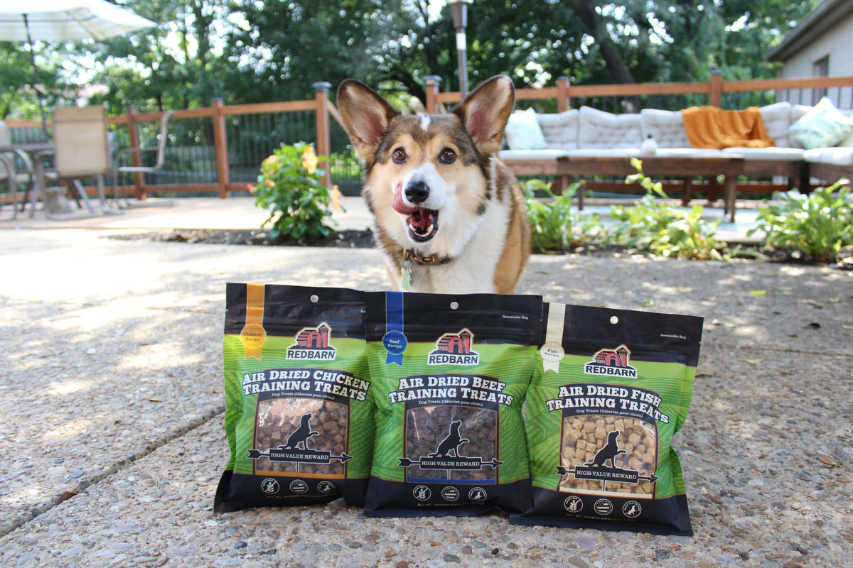 Air-Dried Beef Dog Training Treats, Crunchy High-Protein Rewards for Walks, Practice and Toppers source image 4