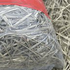 First-Cutting Timothy and Orchard Grass Hay Blend, Hand-Packed High-Fiber Feed in Six Bag Sizes source image 4