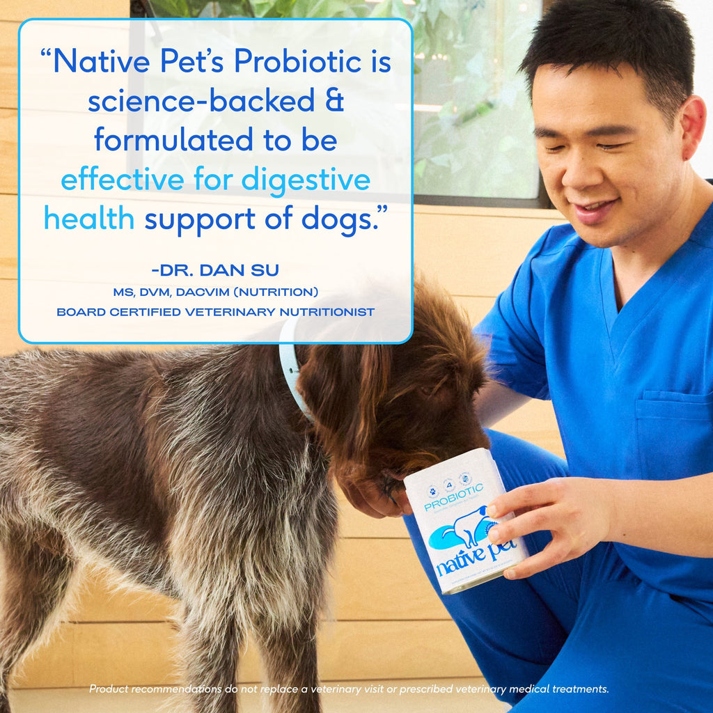 Daily Dog Probiotic Powder with Four Canine-Specific Strains and Prebiotic Fiber, 1.7 oz to 240 Scoops product image 4