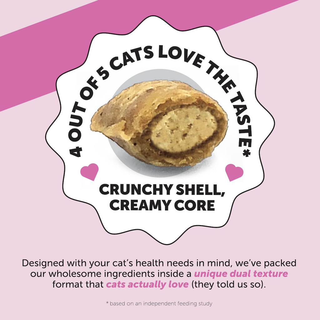Dual Texture Cat Multivitamin Chews in Chicken Flavor Supporting Immune, Joint, Skin and Digestive Health product image 4