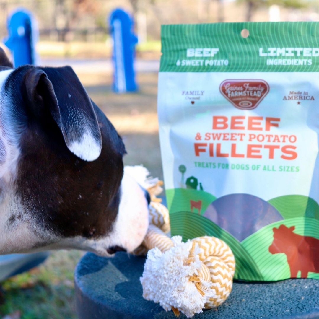 Beef and Sweet Potato Dog Treat Fillets, Soft 8 oz Chewy Rewards for Training and Everyday Snacking source image 4