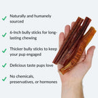 Natural Dog Chew Starter Pack, Beef Tendon and Bully Stick Variety Bundle for Supervised Chewing source image 4