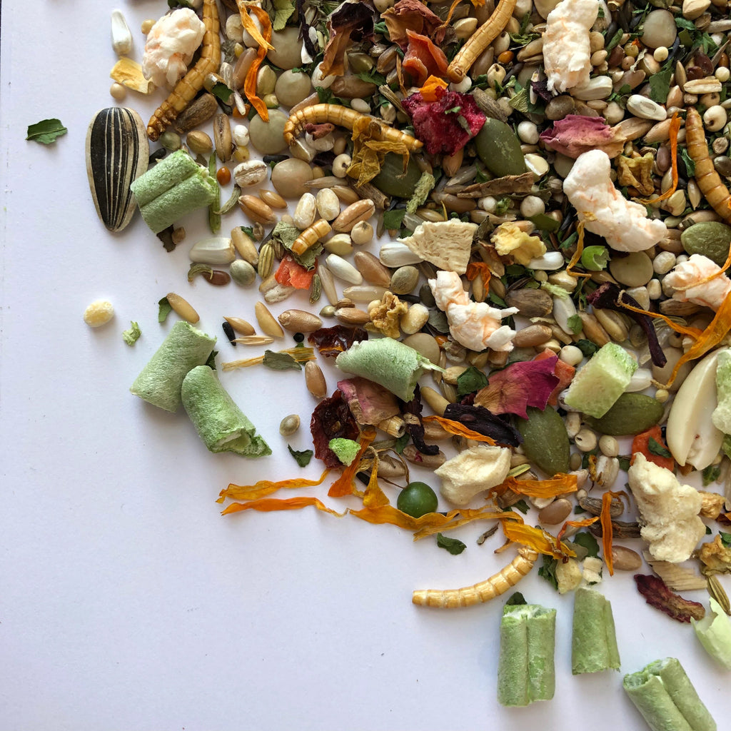 Syrian Hamster Food Mix, Age-Specific Young and Adult Recipes Featuring Seeds, Grains and Insects source image 4