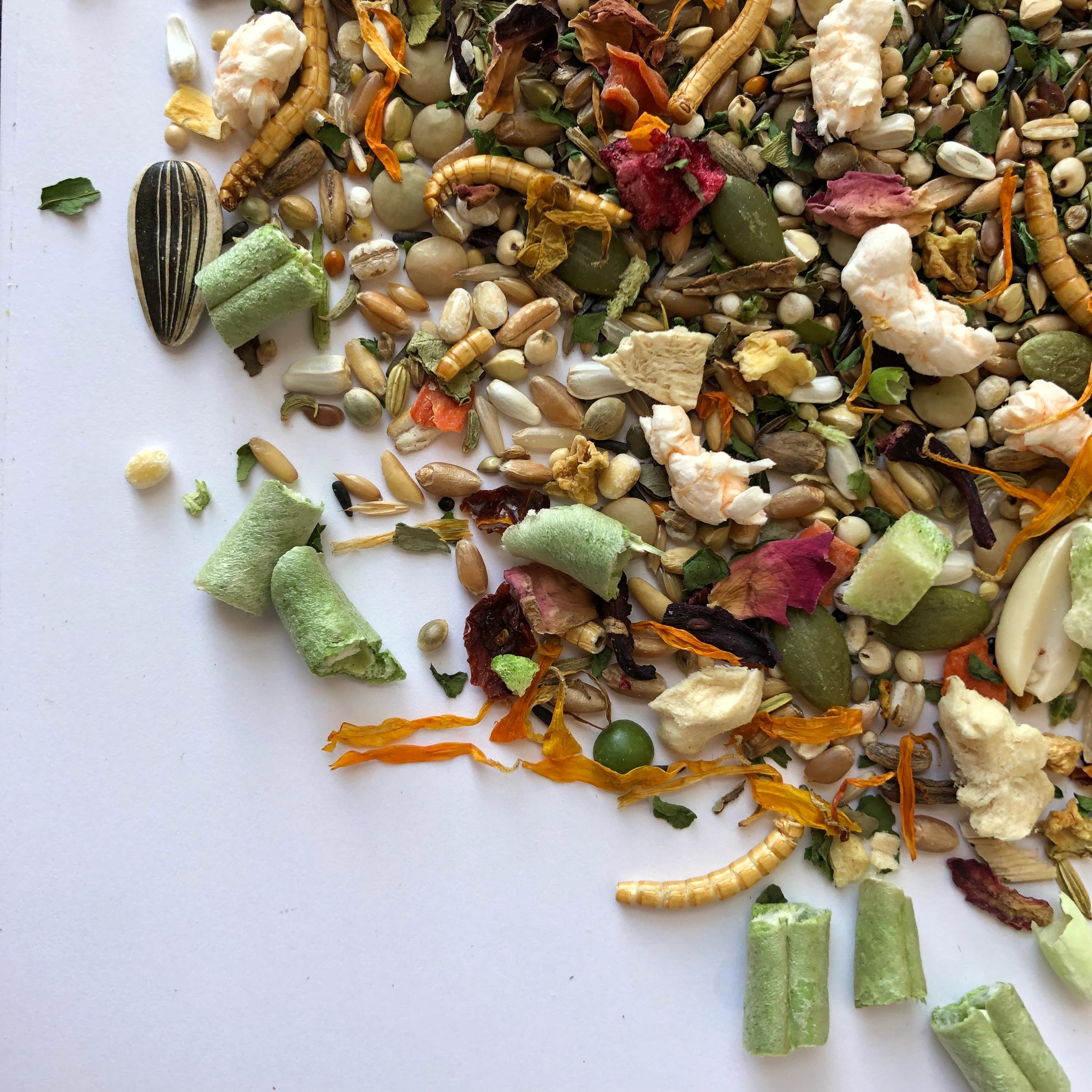 Syrian Hamster Food Mix, Age-Specific Young and Adult Recipes Featuring Seeds, Grains and Insects source image 4