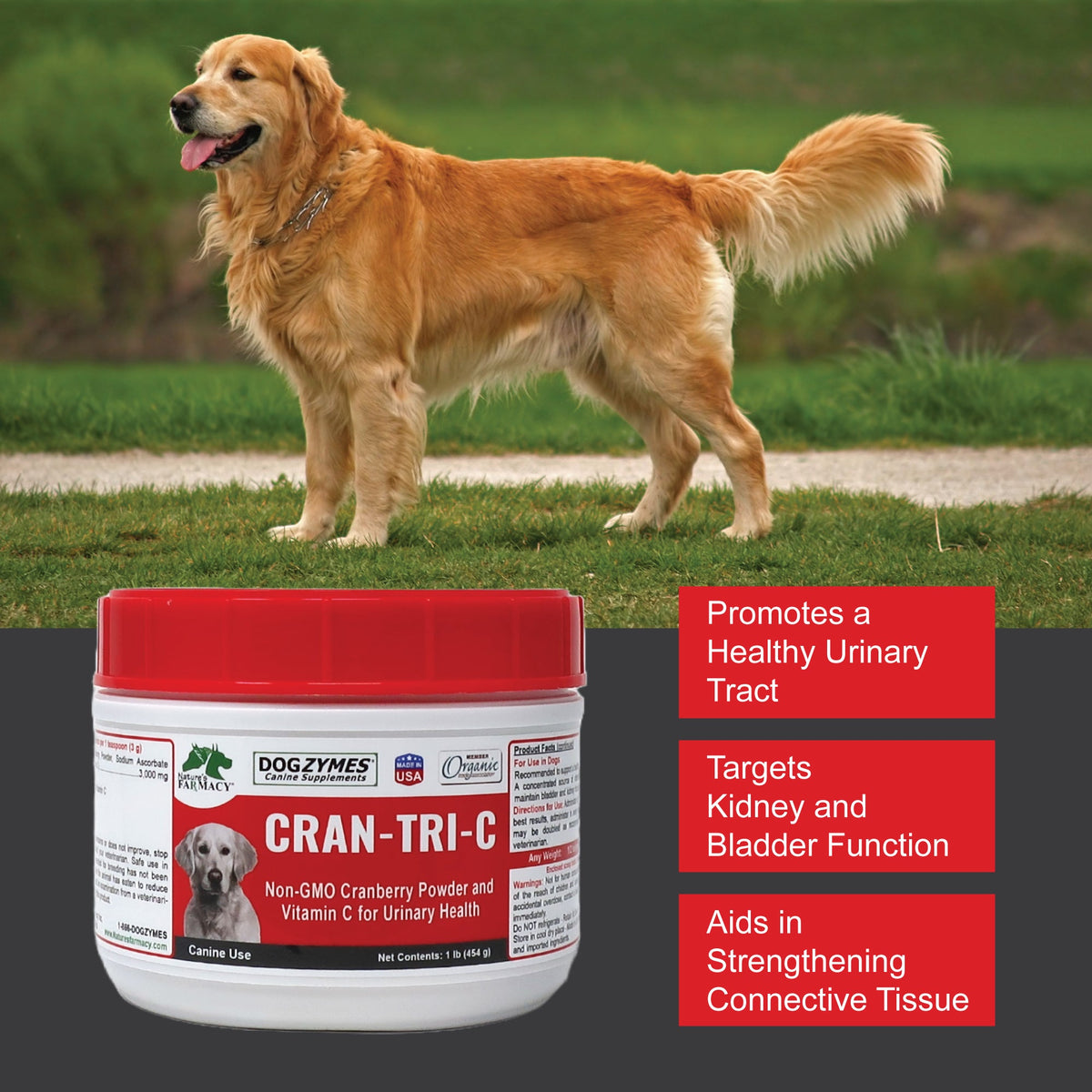 Dog Vitamin C Supplement in Powder or Capsule Form, Cranberry Blend for Daily Mealtime Feeding source image 4