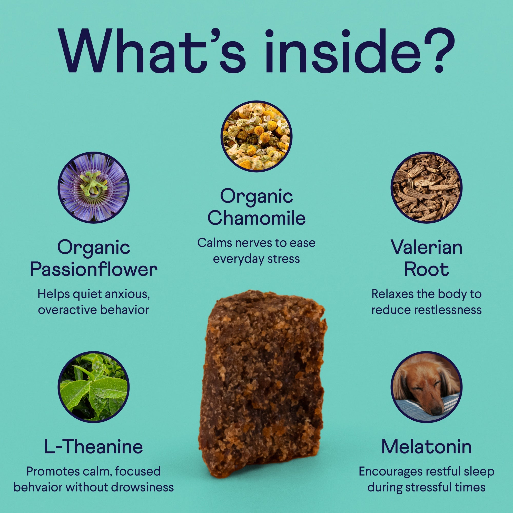 Calming Soft Chews for Dogs, Organic Herbal Daily Support for Stressful Moments and Hyperactive Behavior source image 4