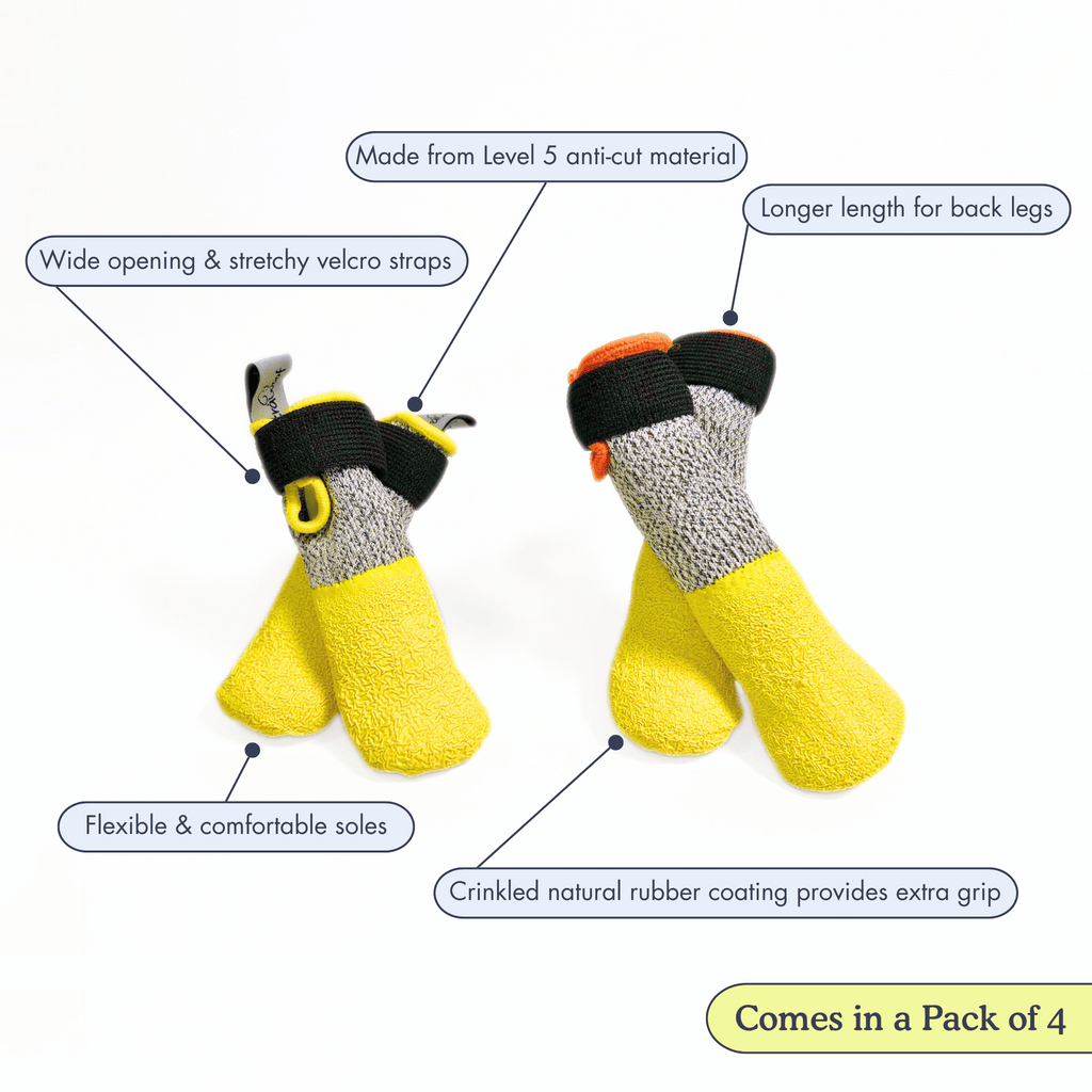 All-Season Dog Boots, Flexible Grip Soles in a Lightweight Set of Four for Hot Pavement and Winter Walks source image 4