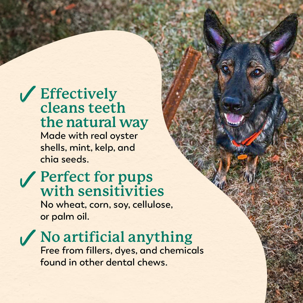 Sweet Potato Dental Chews for Dogs, Mint-Flavored 24 oz Bag for Natural Abrasion and Fresher Breath source image 4