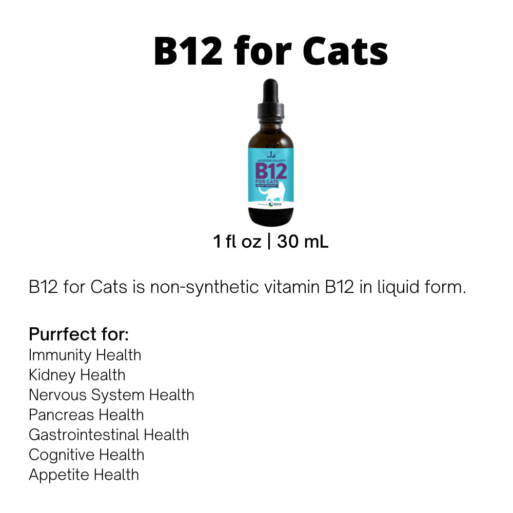 Liquid Vitamin B12 Supplement for Cats Supporting Immune, Nervous, Digestive and Cognitive Health product image 4