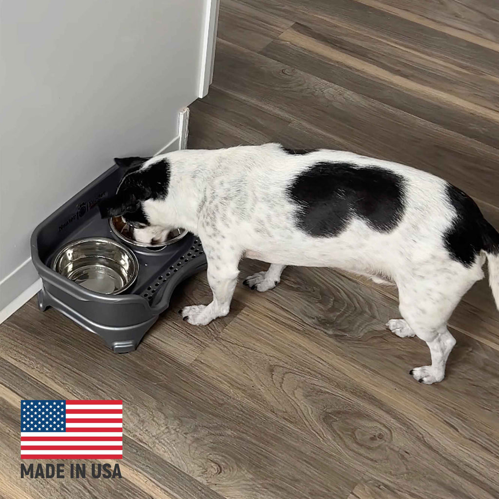 Elevated Mess-Proof Pet Feeding Station, Spill-Containment Design and Dishwasher-Safe Stainless Steel Bowls source image 4
