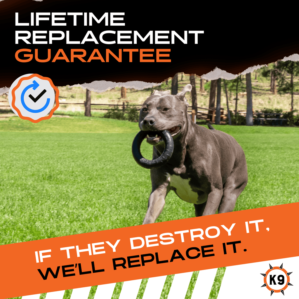 Rubber Dog Chew Toy in a Solid Natural Ring for Medium and Large Power Chewers and Supervised Play source image 4