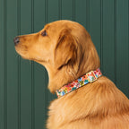 Garden Party Floral Cotton Dog Collar, Reinforced Webbing and Brass D-Ring in Four Adjustable Neck Sizes source image 4