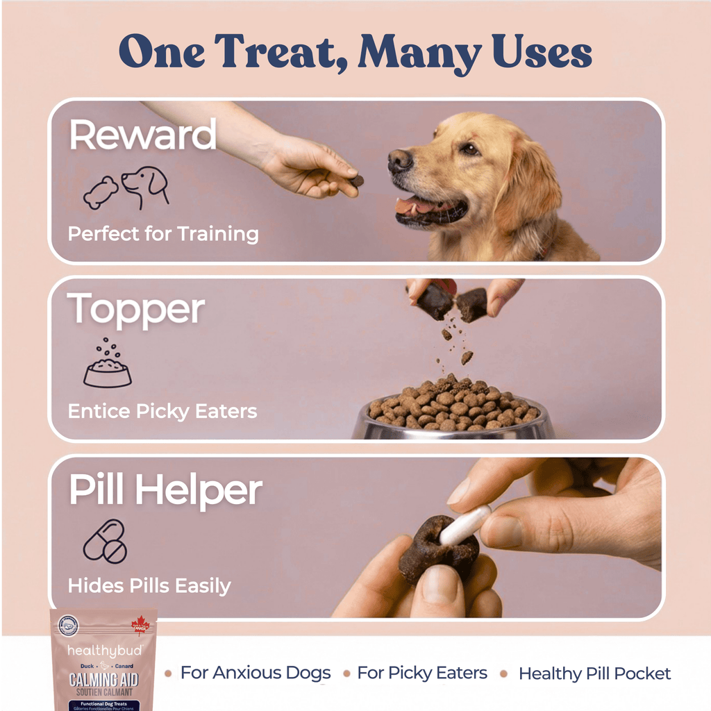 Dog Calming Chew Supplement, Duck Soft Treat and Food Topper Featuring L-Theanine and Chamomile in Two Bag Sizes source image 4