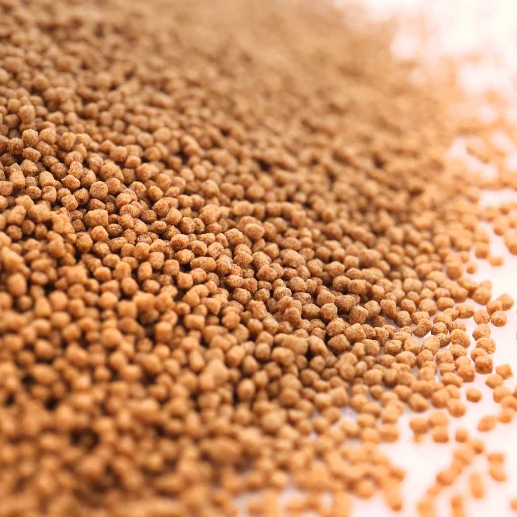 Floating Fish Food Pellets for 1- to 4-Inch Community Fish, High-Protein Formula in Three Sizes source image 4
