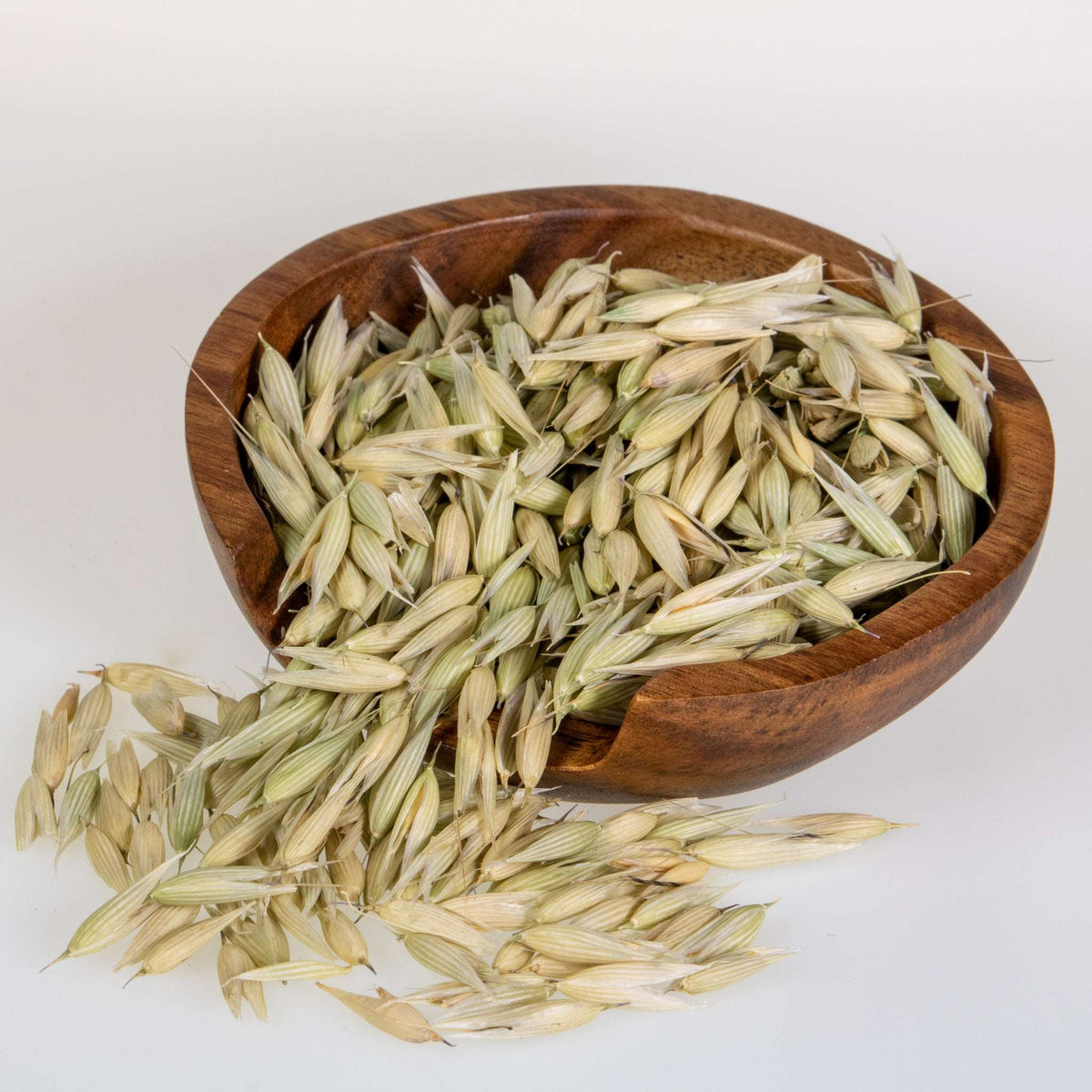 Organic Rabbit Botanical Treats for Hay Topping and Daily Enrichment in Five Single-Ingredient Varieties source image 4