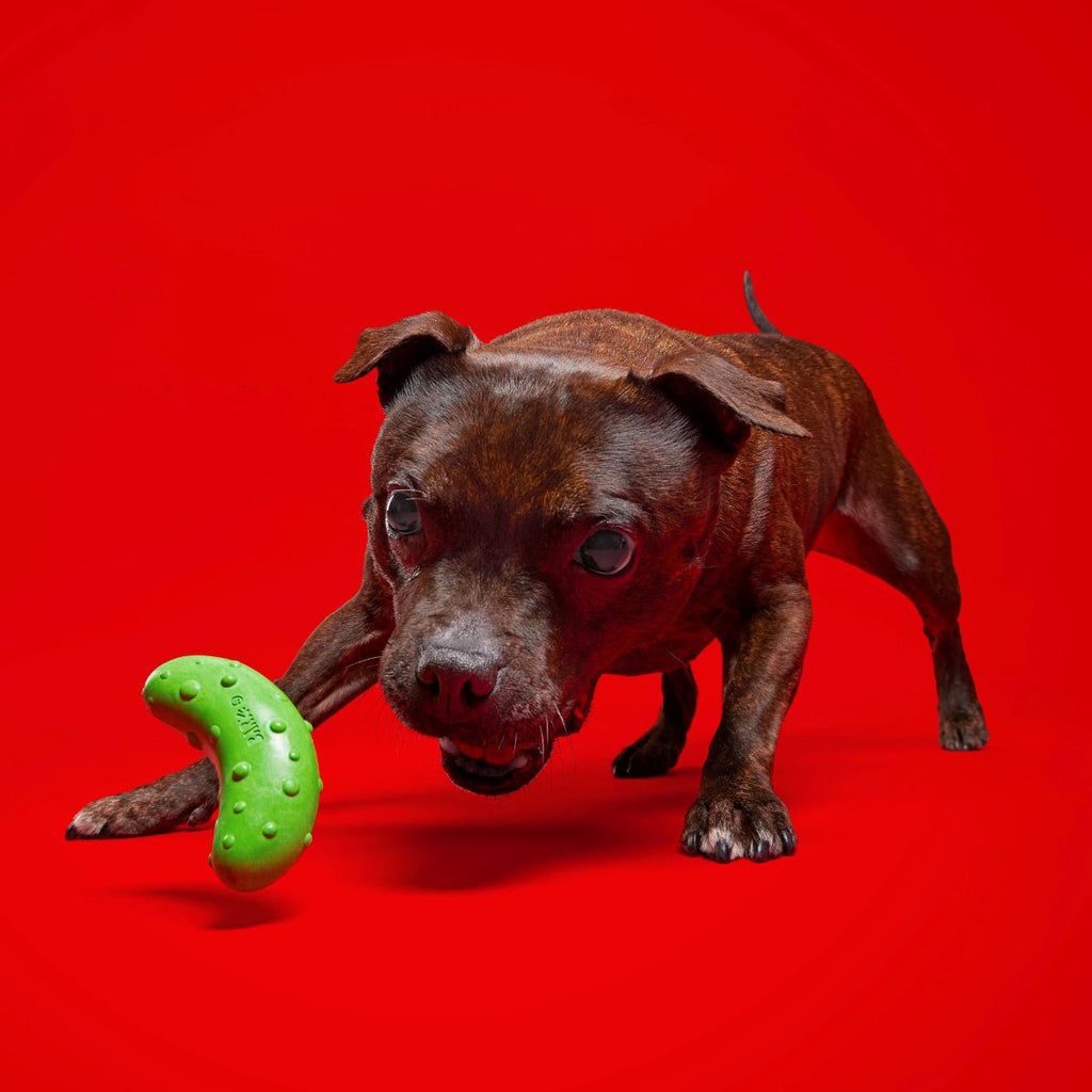 Natural Rubber Pickle Dog Toy for Gnawing and Fetch Play, Squeaky Wobble Design in Three Sizes source image 4