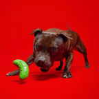 Natural Rubber Pickle Dog Toy for Gnawing and Fetch Play, Squeaky Wobble Design in Three Sizes source image 4