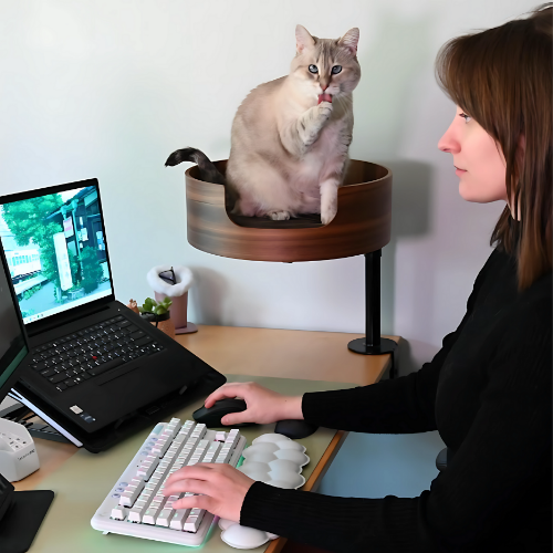 Desk-Mounted Cat Bed for Workspaces, Elevated Single or Double Nest in Walnut and White Oak Finishes source image 4