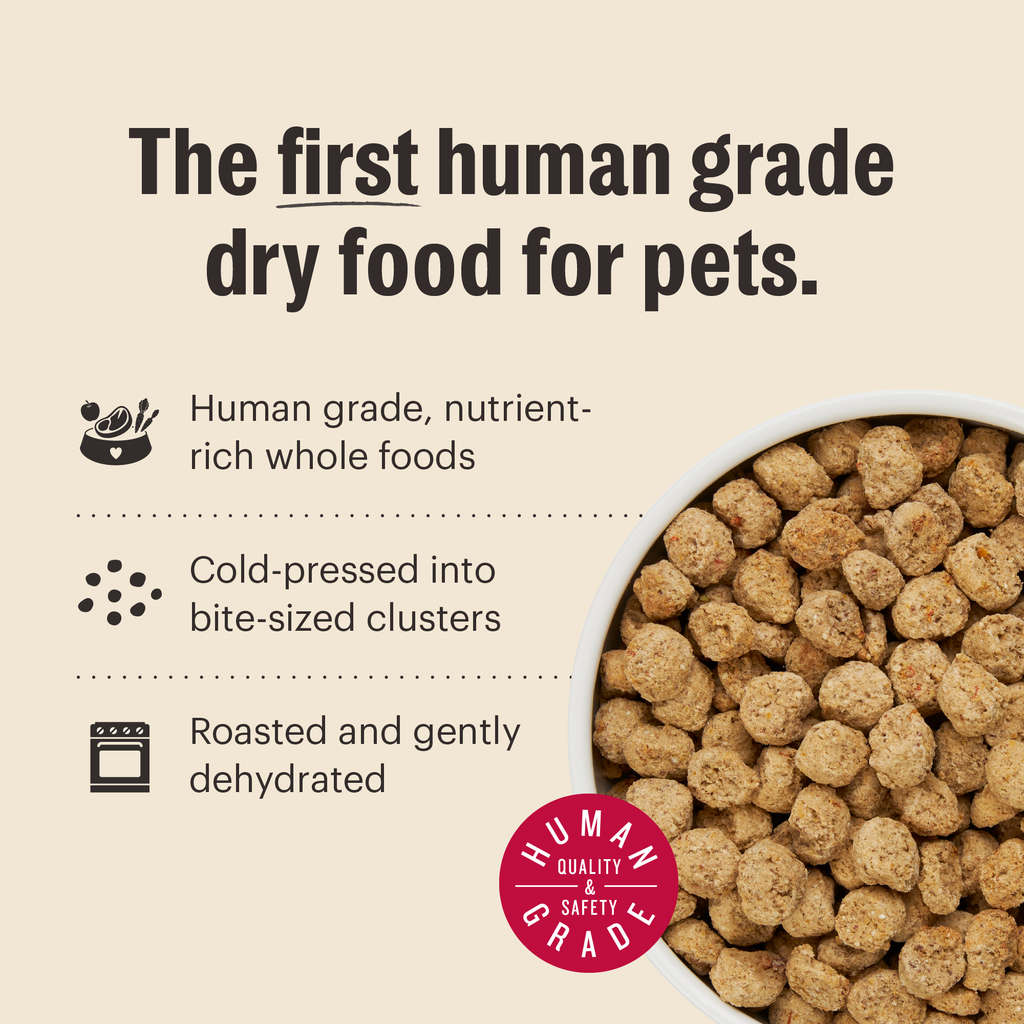 Whole Grain Chicken Dry Dog Food Clusters, Minimally Processed Human-Grade Recipe in 5 lb and 20 lb Bags source image 4