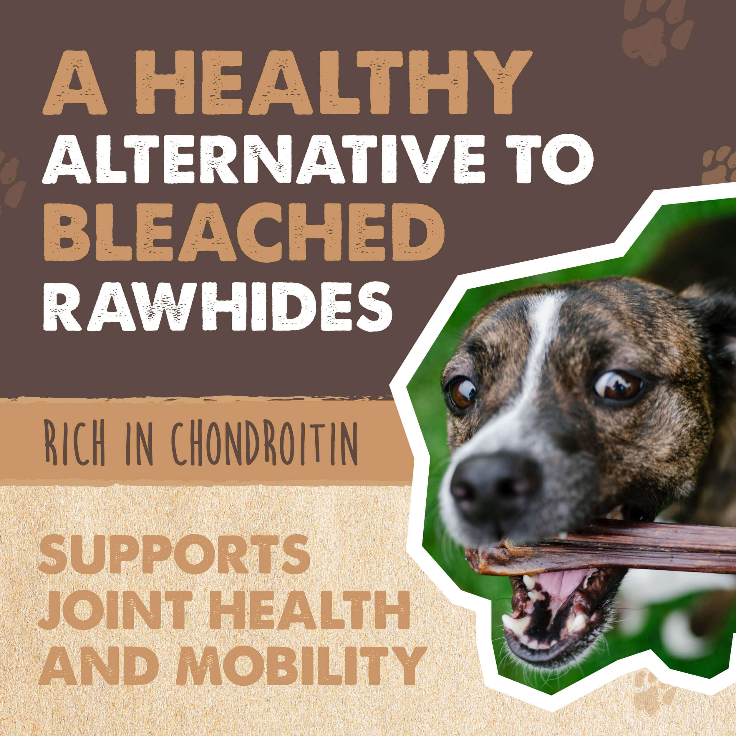 Single-Ingredient Beef Gullet Sticks for Dogs, 30-Pack Crunchy Chews for Puppies and Light Chewers source image 4