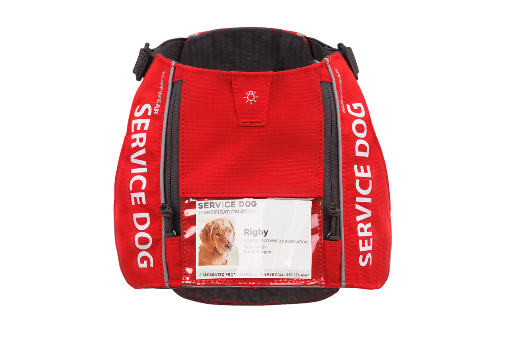 Service Dog Identification Vest, Clear ID Window and Reflective Trim Across Six Size-Color Combinations source image 4