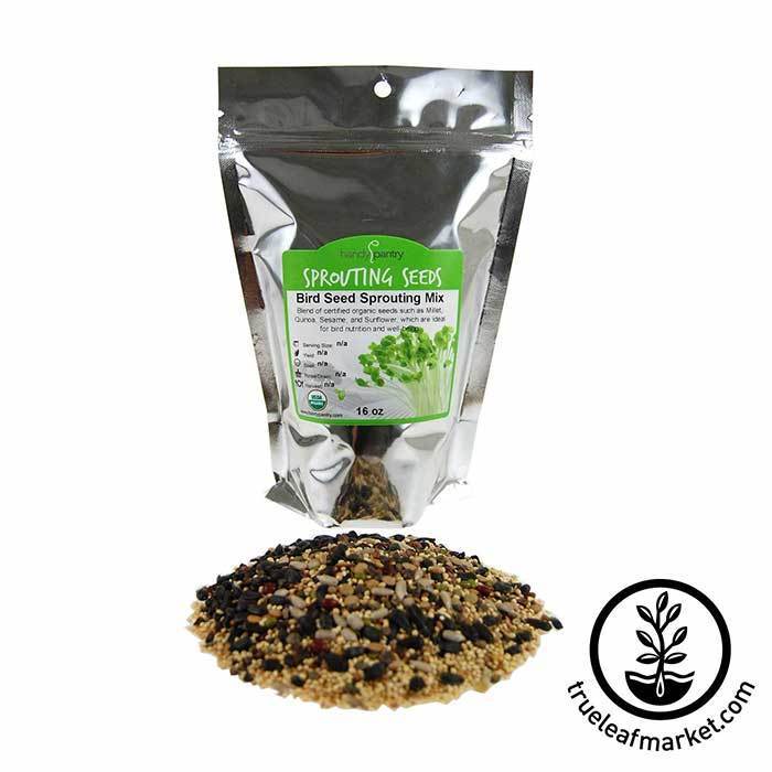 Organic Bird Seed Sprouting Mix of 12 Seeds and Grains, Packaged from 1 lb Bags to 35 lb Buckets source image 4