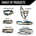 Adjustable Dog Walking Harness in Abrasion-Resistant Webbing for Secure Everyday Outdoor Adventures source image 4