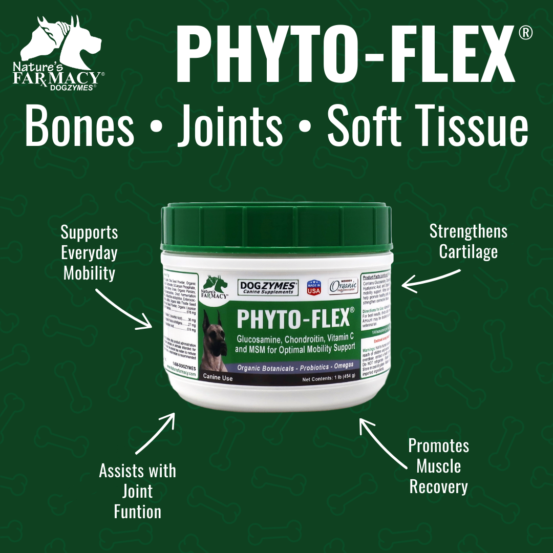 Dog Joint Support Supplement for Daily Mobility, Glucosamine and MSM Powder or Capsule Formats source image 4