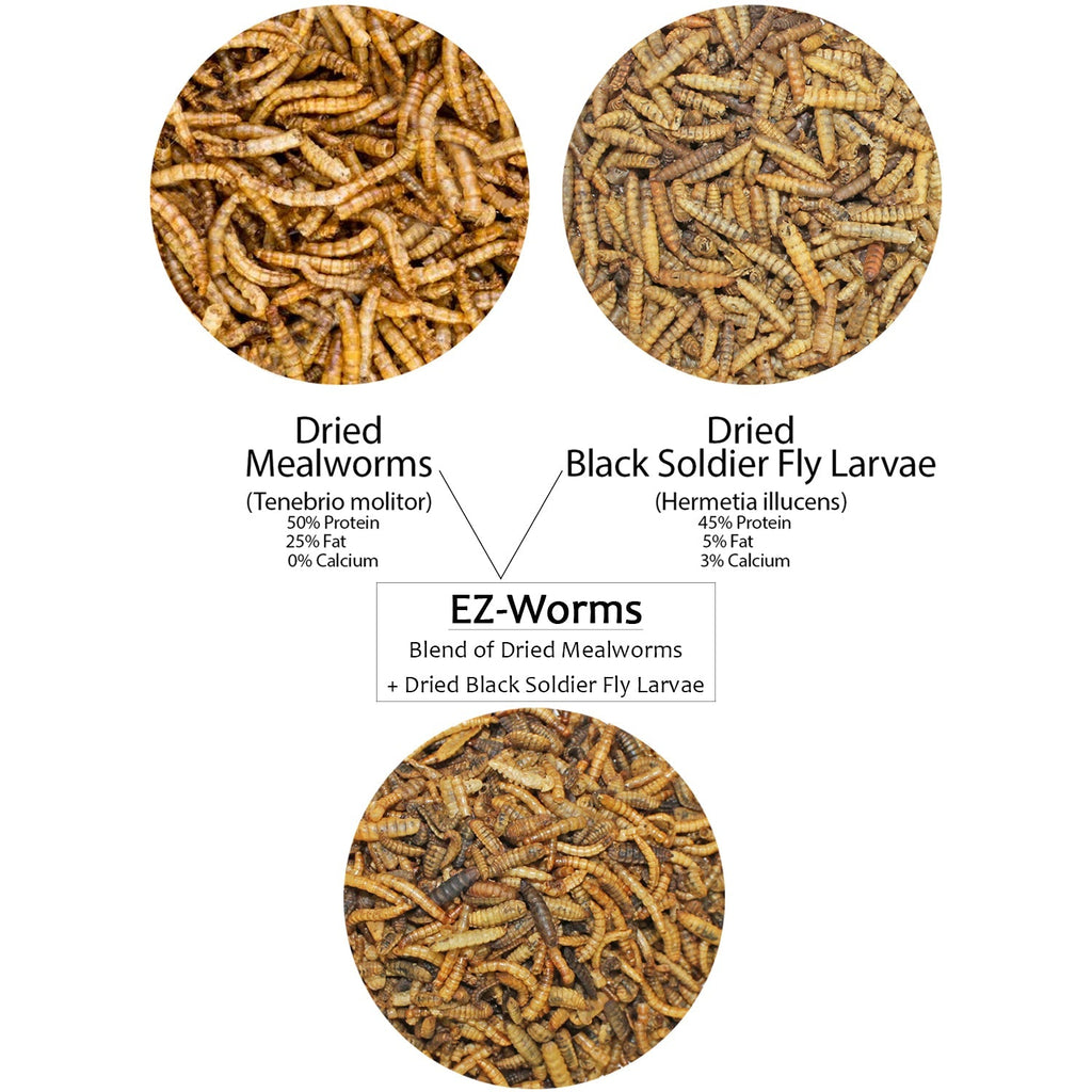 Dried Insect Poultry Feed, Mealworm and BSFL Foraging Supplement in Four Bulk Sizes for Chickens and Ducks source image 4