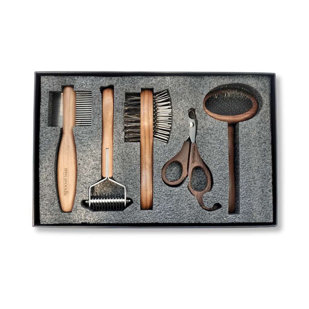 Dog Grooming Tool Set for Cavoodles, Five-Piece Brush, Comb, Dematting and Nail Care Kit in a Storage Box source image 4