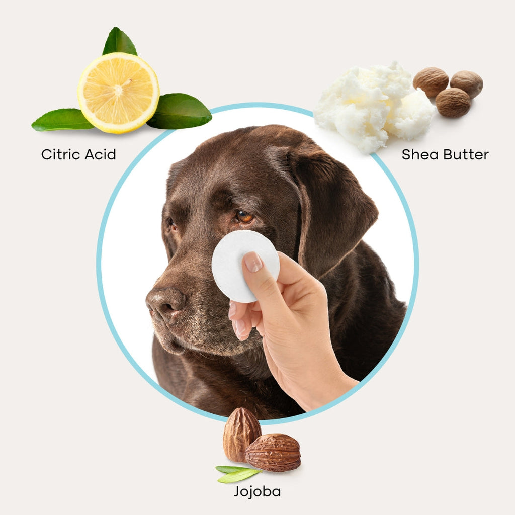 Pet Eye Cleaning Wipes for Tear Stains and Daily Debris, 100 Wipes per Pack with Shea Butter and Jojoba Oil source image 4