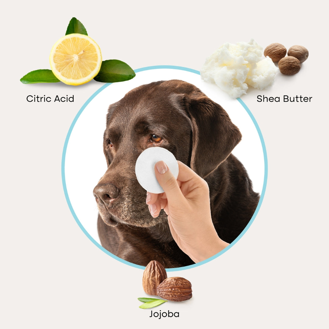 Pet Eye Cleaning Wipes for Tear Stains and Daily Debris, 100 Wipes per Pack with Shea Butter and Jojoba Oil source image 4