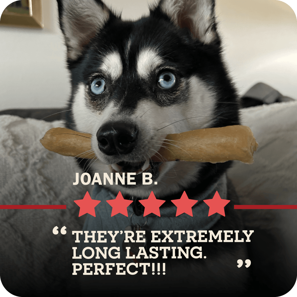 An image of a dog with blue eyes and a Redbarn Collagen stick in their mouth with a five star review from Joanne B. that says, "They're extremely Long Lasting. Perfect!!!"