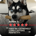 An image of a dog with blue eyes and a Redbarn Collagen stick in their mouth with a five star review from Joanne B. that says, "They're extremely Long Lasting. Perfect!!!"