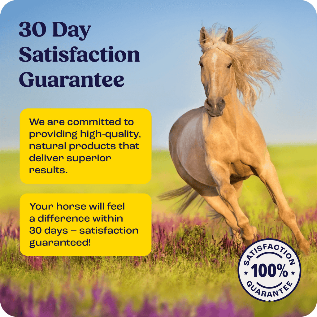 IM Injectable for horses with 30-day satisfaction guarantee, featuring running horse in meadow.