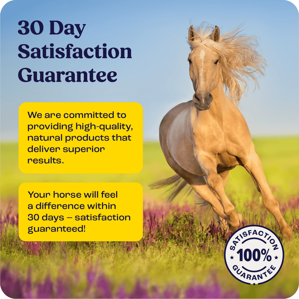 IM Injectable for horses with 30-day satisfaction guarantee, featuring running horse in meadow.