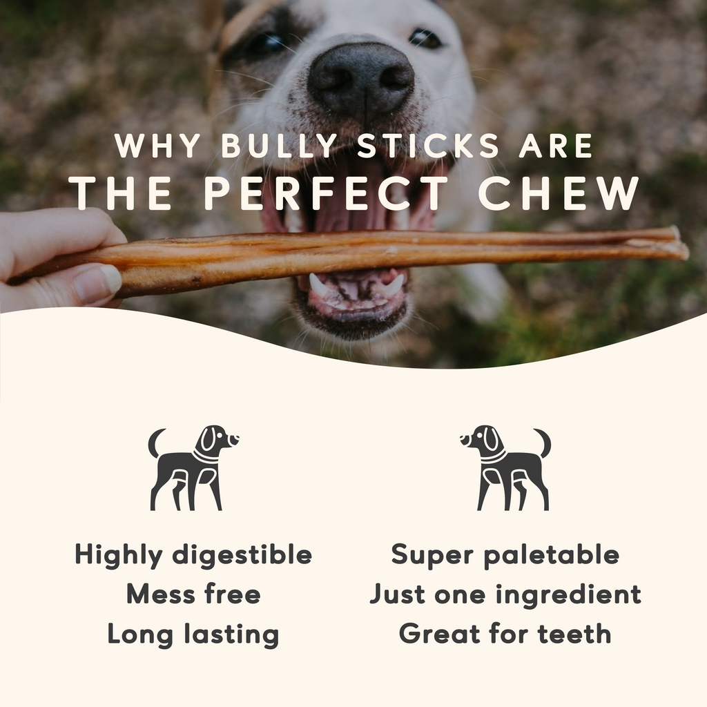 Maplewood Smoked Bully Stick Dog Chews Slow-Smoked for 72 Hours for Long-Lasting Flavorful Chewing product image 4