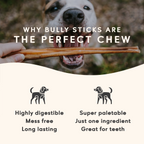 Maplewood Smoked Bully Stick Dog Chews Slow-Smoked for 72 Hours for Long-Lasting Flavorful Chewing product image 4