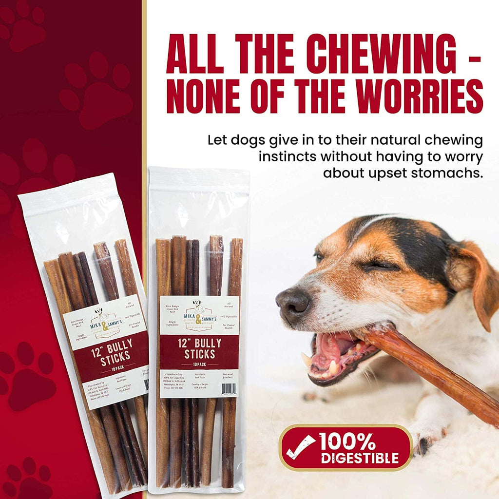 Close-up of a Regular Bully Stick showcasing baked, single-ingredient meaty texture on white background