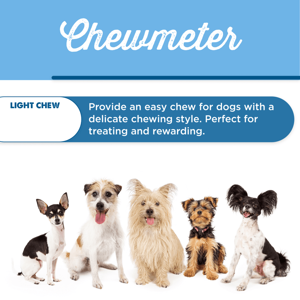 Five small dogs sit in a row under a sign reading "Bully Snack Sticks Medium by Best Bully Sticks," describing crunchy chews ideal for pups with delicate chewing styles—offering a gentle alternative to traditional bully sticks.