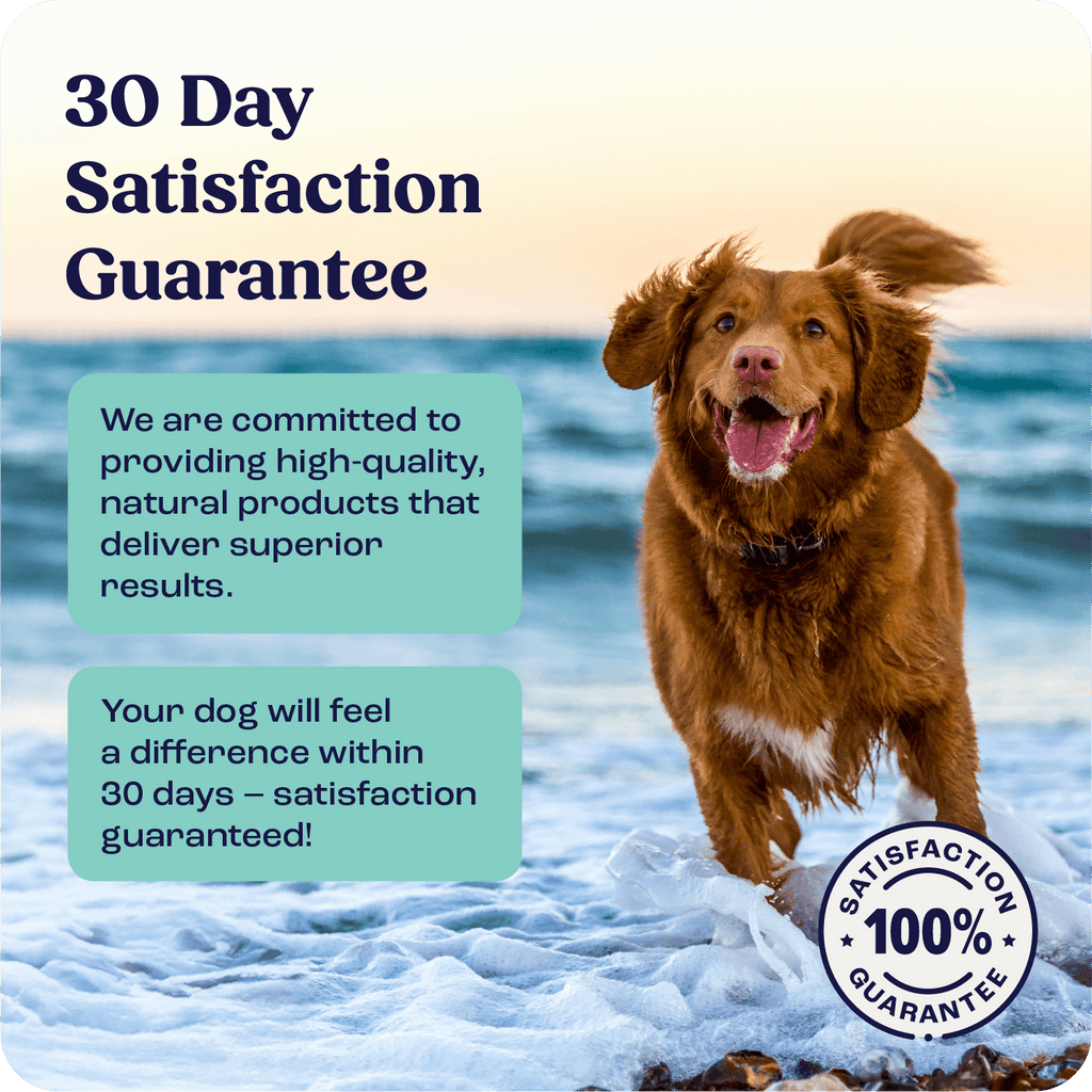 Large Dog Joint Supplement in Weekly Liquid Doses for Dogs Over 75 lb, Offered as Single and Multi-Box Packs source image 3