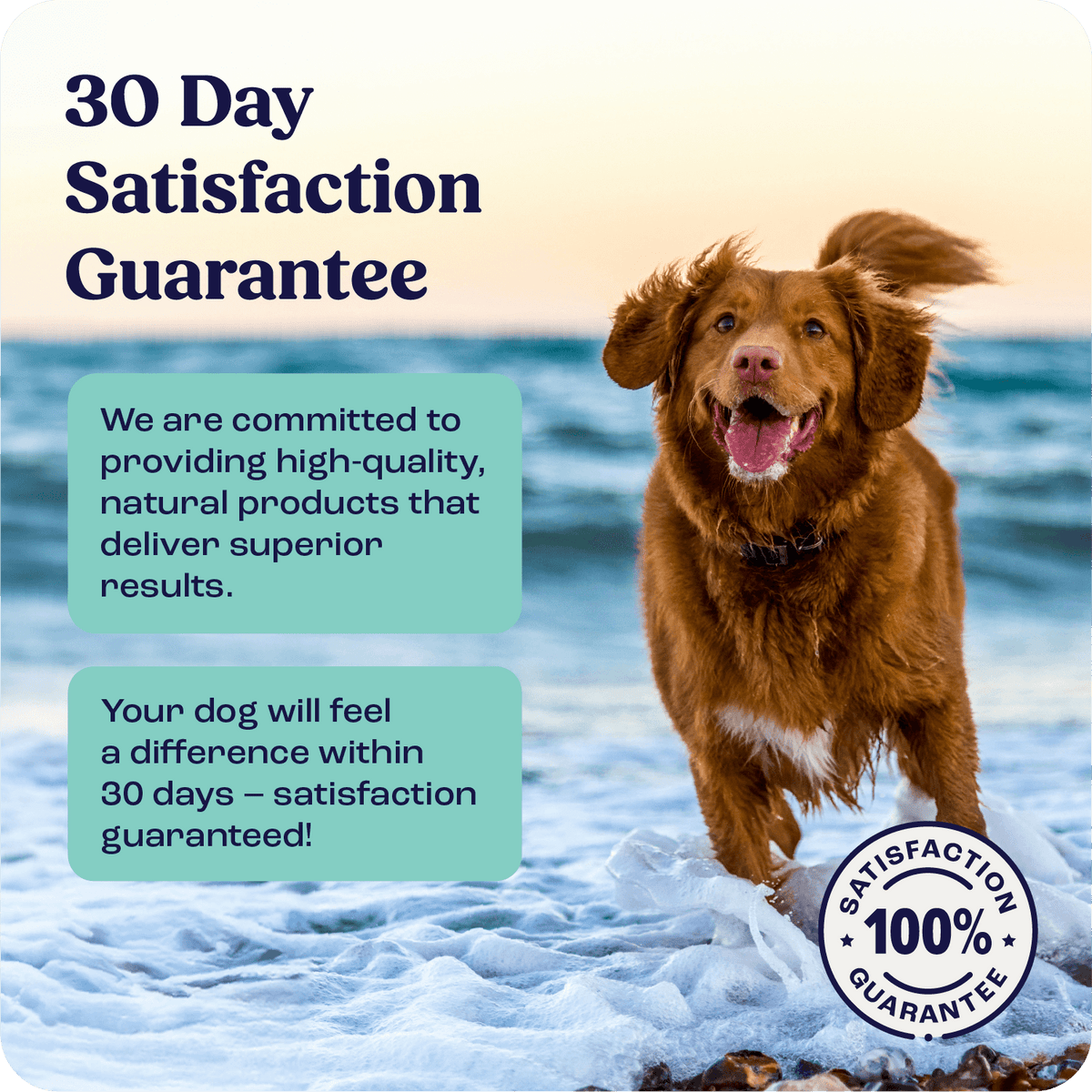 Large Dog Joint Supplement in Weekly Liquid Doses for Dogs Over 75 lb, Offered as Single and Multi-Box Packs source image 3