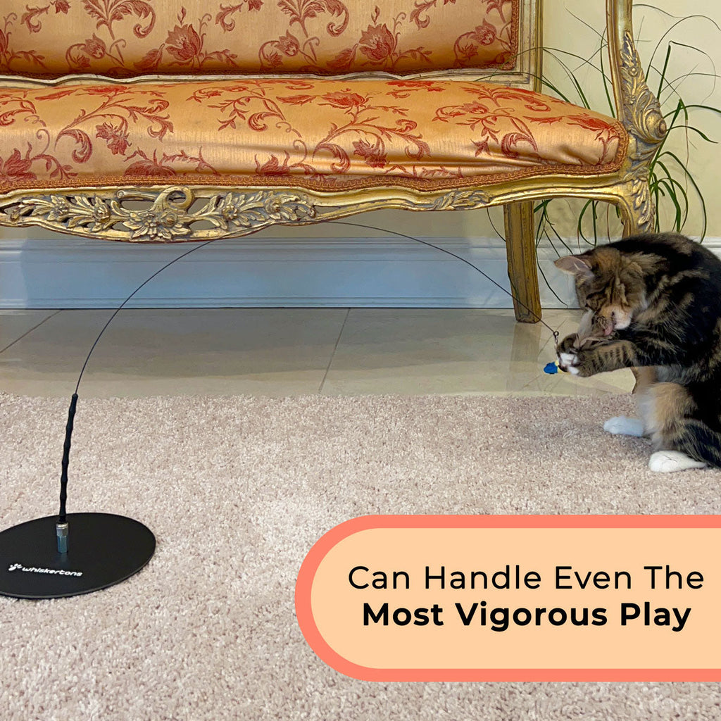 Interactive Bird Cat Toy Bundle, Weighted Base and Suction Cup Set with Five Realistic Attachments for Hunting Play source image 4