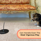 Interactive Bird Cat Toy Bundle, Weighted Base and Suction Cup Set with Five Realistic Attachments for Hunting Play source image 4