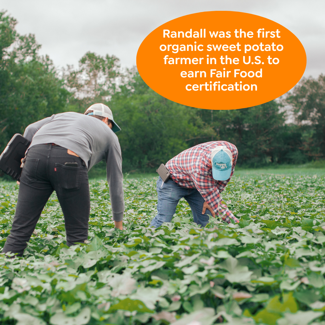 Sweet Potato Dog Jerky Made from Organic Air-Dried North Carolina Potatoes in 12 oz and Three Packs source image 4